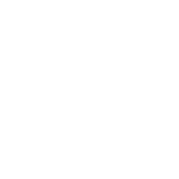shape